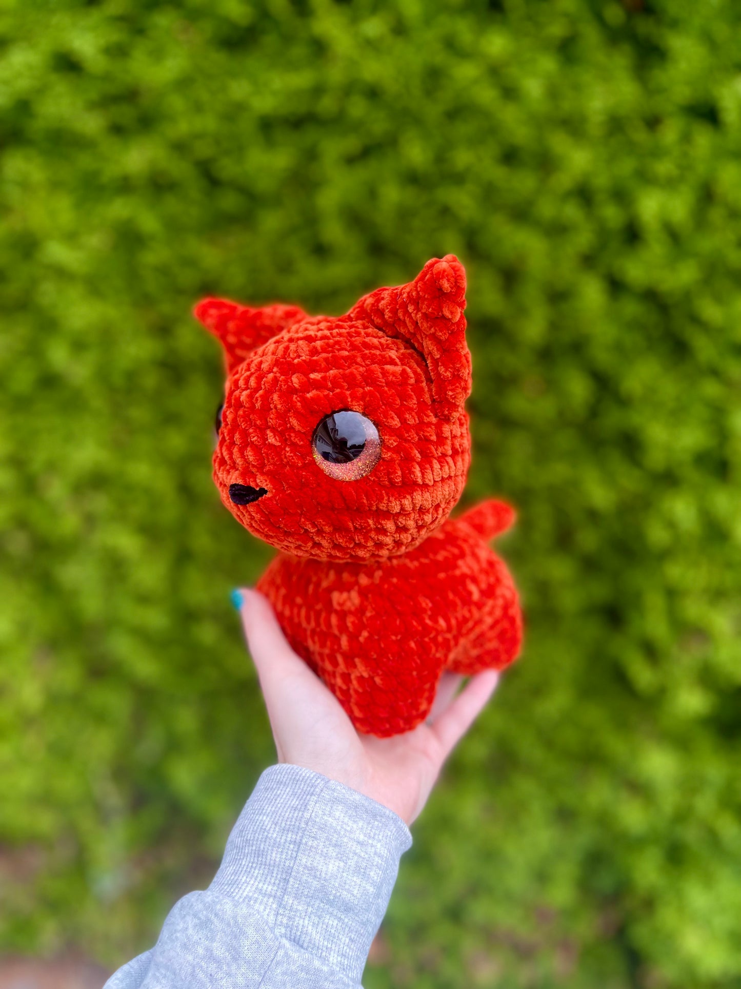 Orange Cat