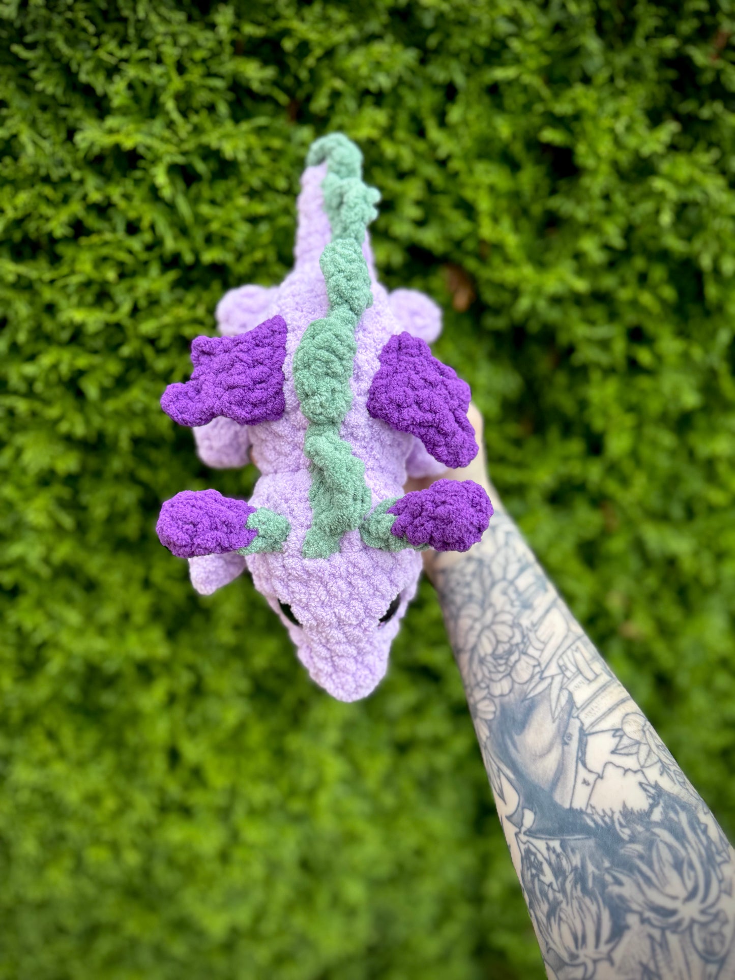 Hyacinth Dragon