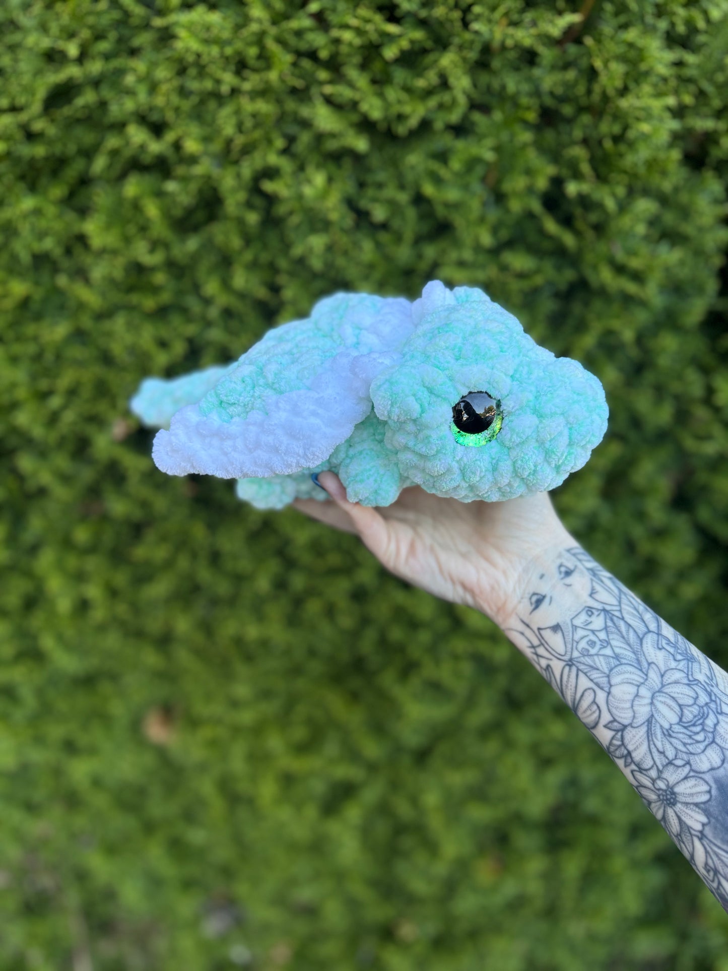 Baby Dragon