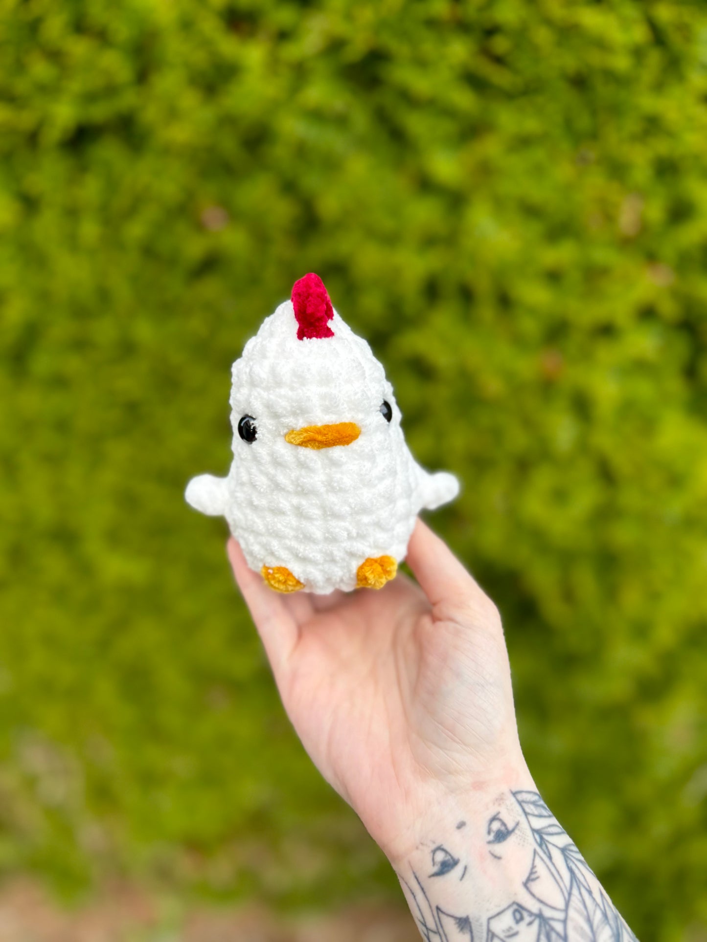 Chicken