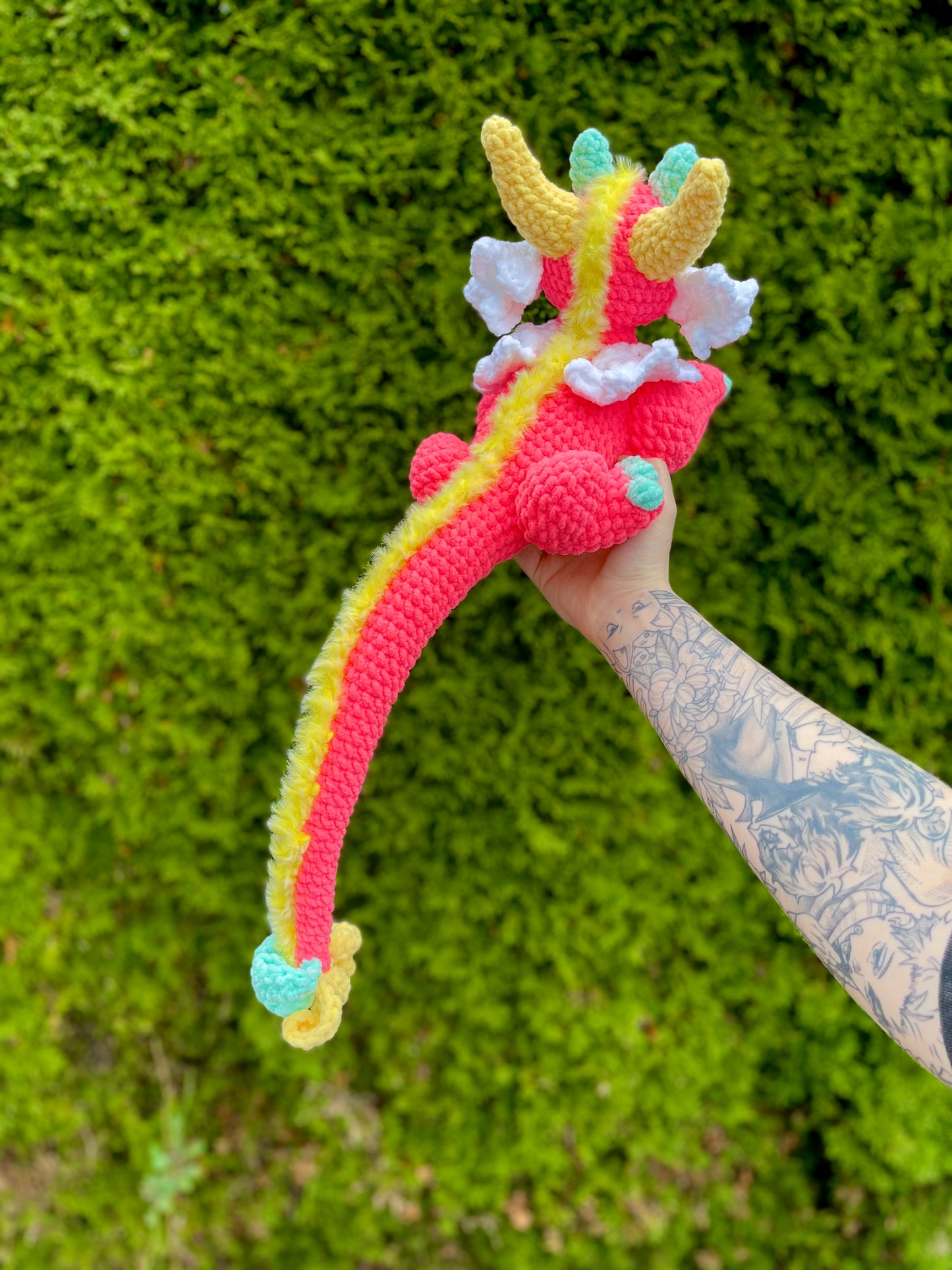 Revie the Dragon